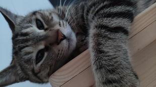 专业吃瓜兽,专业吃瓜兽带你领略幕后风云