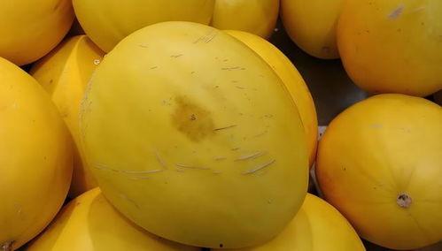 瓜吃黄色的瓜,探寻黄色瓜类的独特魅力