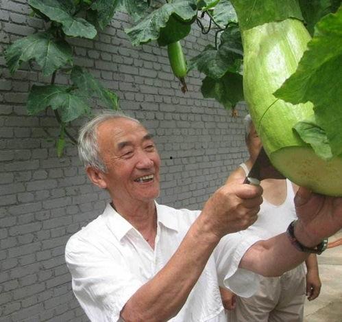 闭经可以吃瓜吗