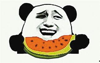 吃瓜群众是什么动物的,揭秘网络时代下的“瓜田”动物