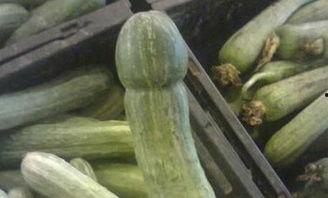 有趣的吃瓜图片,揭秘那些让人捧腹大笑的吃瓜瞬间