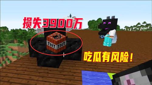 吃瓜用tnt炸,一场意外的“瓜田惊魂”